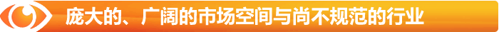 無與倫比的廣闊市場(chǎng)空間與尚不規(guī)范的行業(yè)